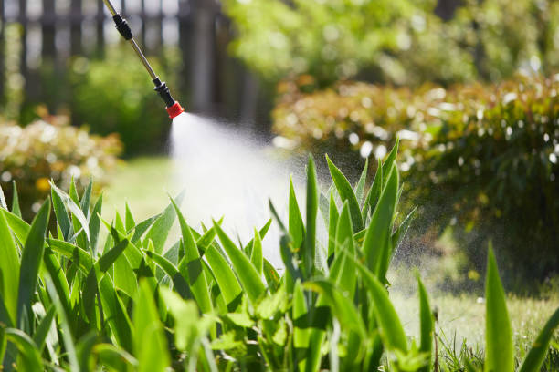 24/7 Emergency Mosquito Control experts in Wanamingo, MN